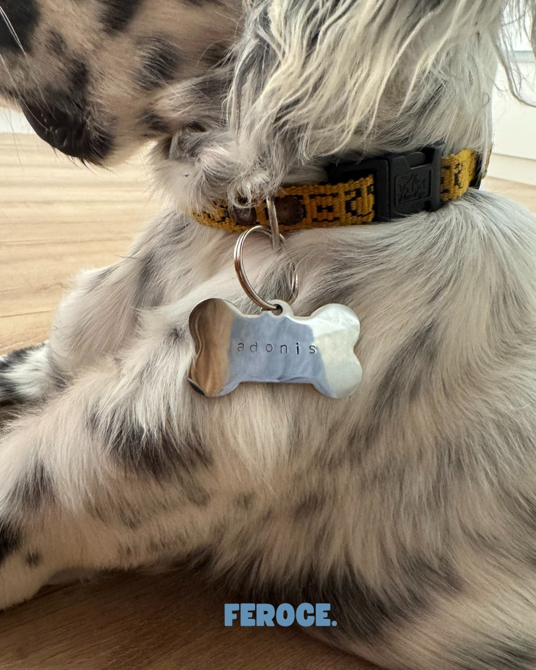 Médaille personnalisée FÉROCE portée par un chien zoom
