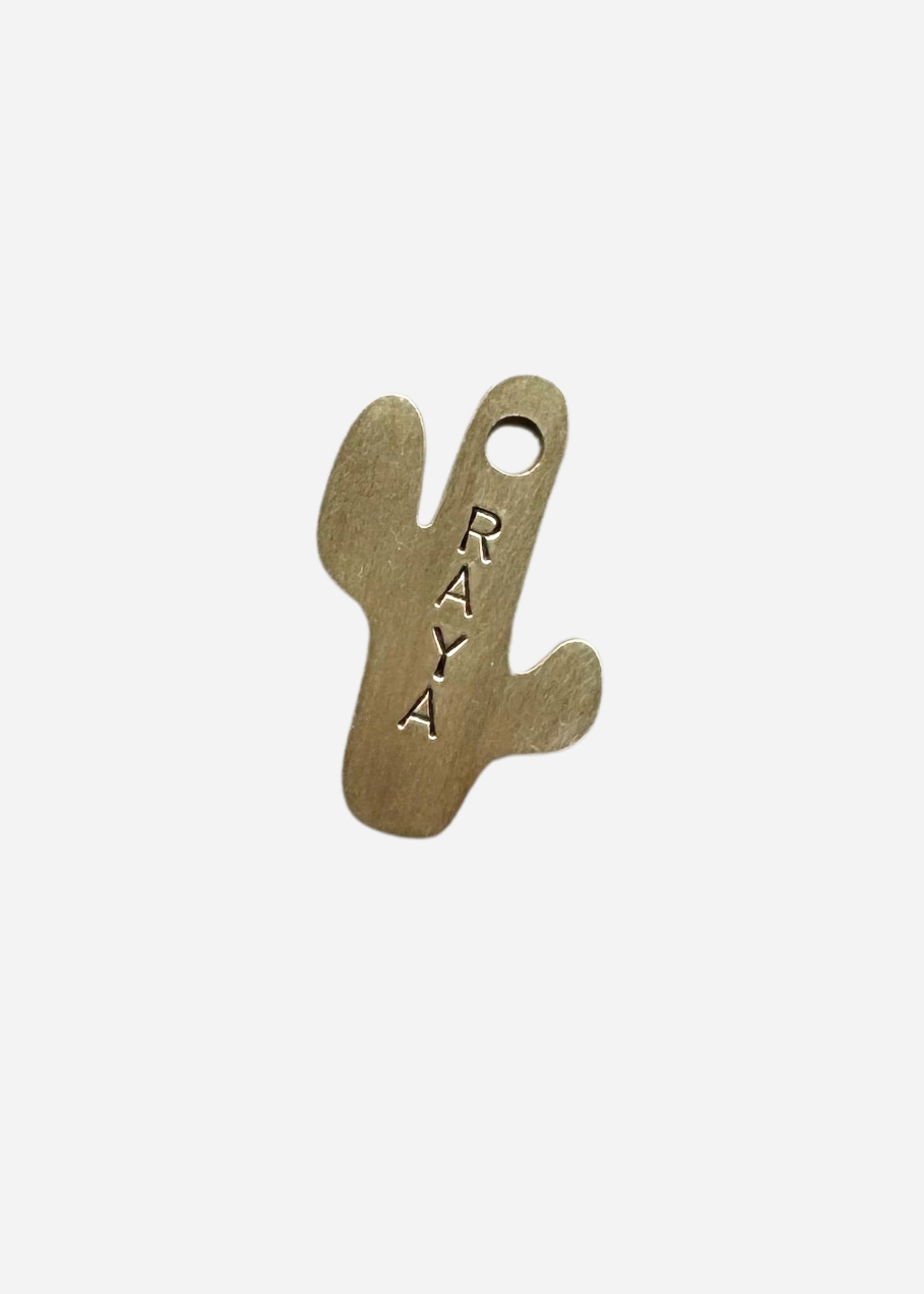 Médaille laiton cactus