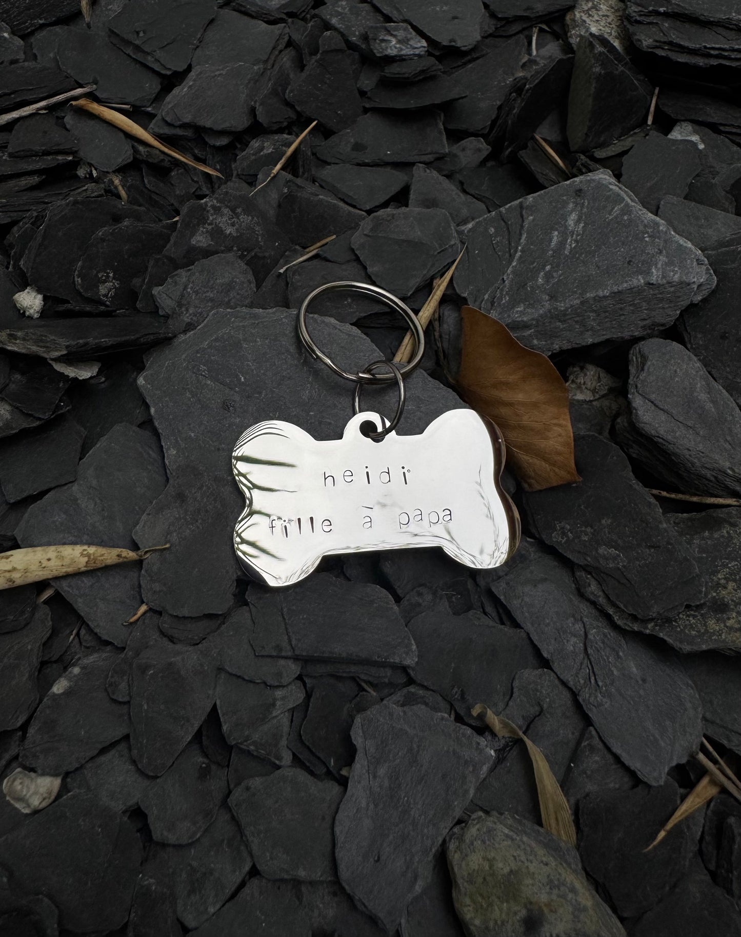 Médaille personnalisée FÉROCE en acier inoxydable pour chien et chat